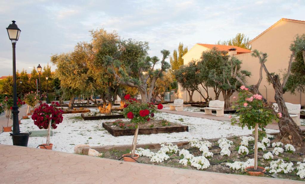 Las Olivas- Borox Aparthotel Sesena Nuevo Exterior photo